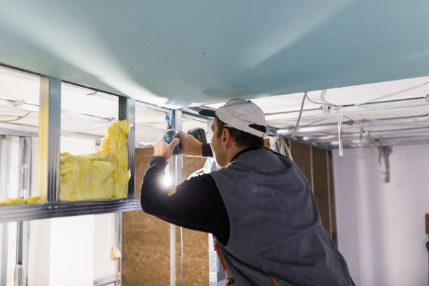 Best Insulation Removal  in Penn Estates, PA